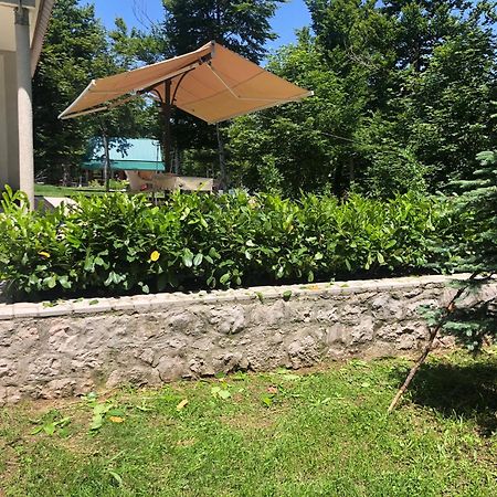 Mountain House Ivanova Korita Cetinje Eksteriør billede